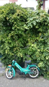 IMG-20160812-WA0001